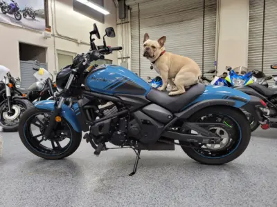 2019 Kawasaki Vulcan S ABS