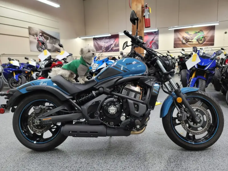 2019 Kawasaki Vulcan S ABS