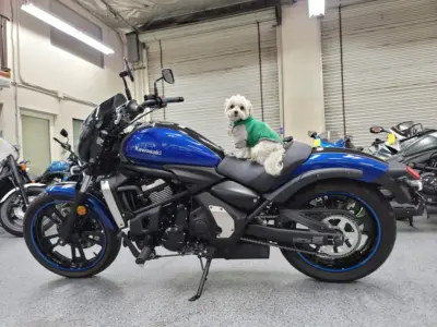 2016 Kawasaki Vulcan S ABS