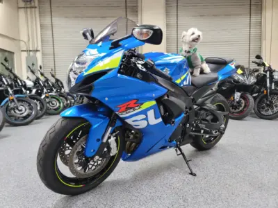 2015 Suzuki GSXR 600
