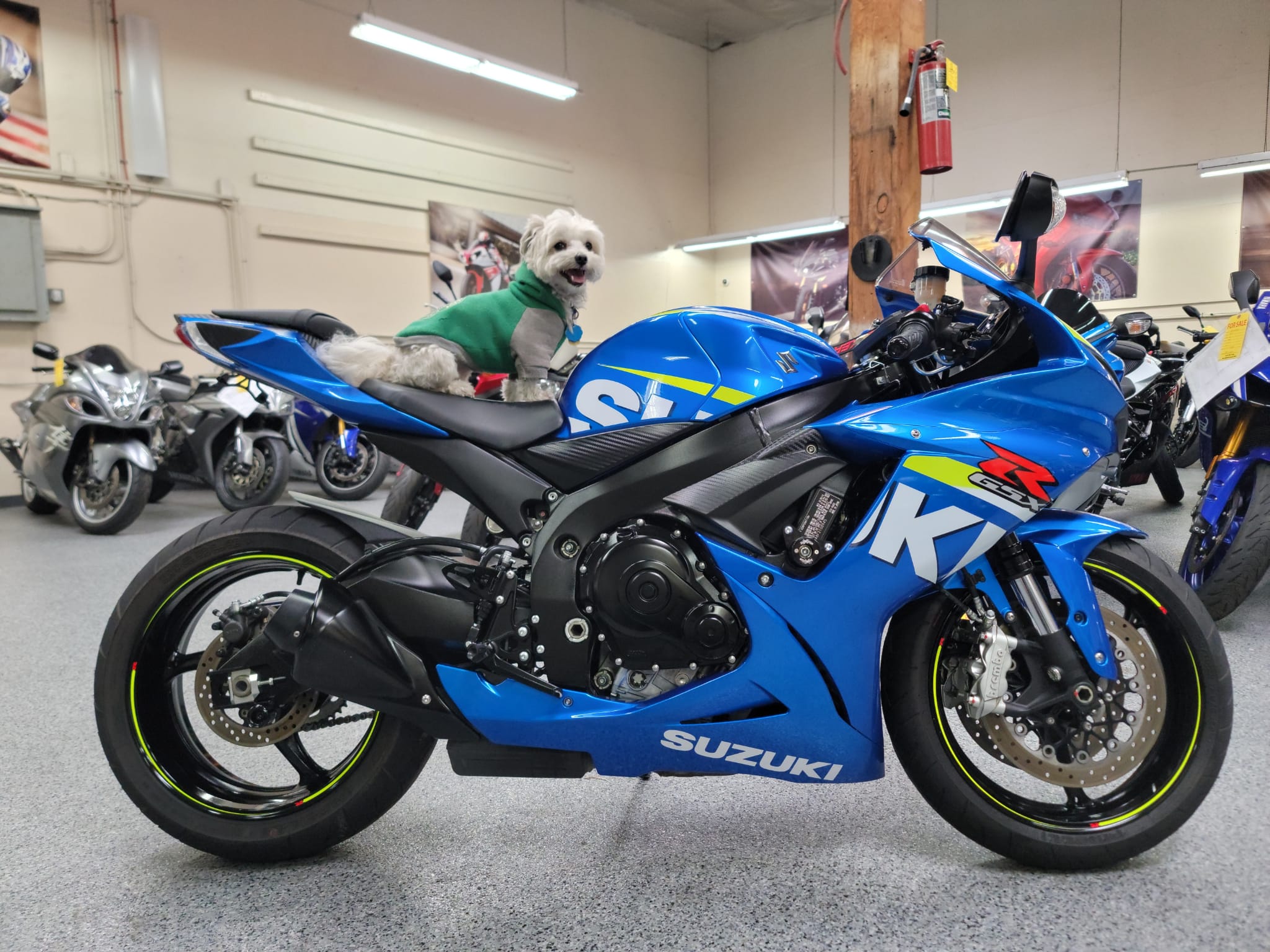 Suzuki gsx deals 600 r 2015