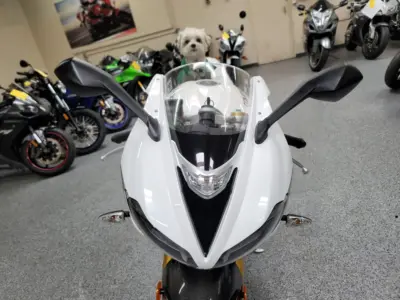 2014 Triumph Daytona 675R