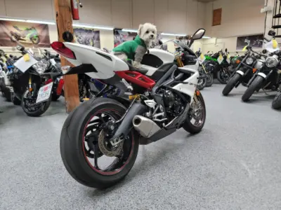 2014 Triumph Daytona 675R