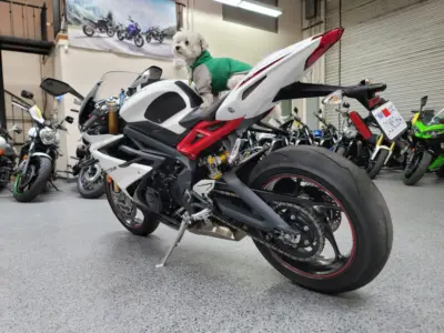 2014 Triumph Daytona 675R