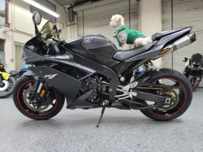 2007 Yamaha R1