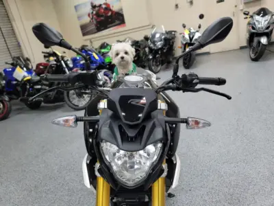 2018 BMW G310R ABS 310