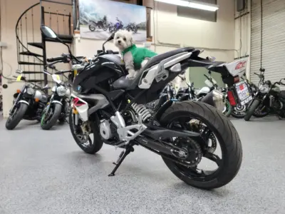 2018 BMW G310R ABS 310