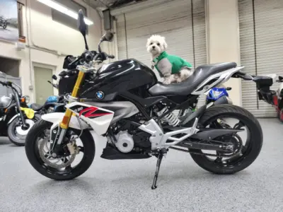 2018 BMW G310R ABS 310