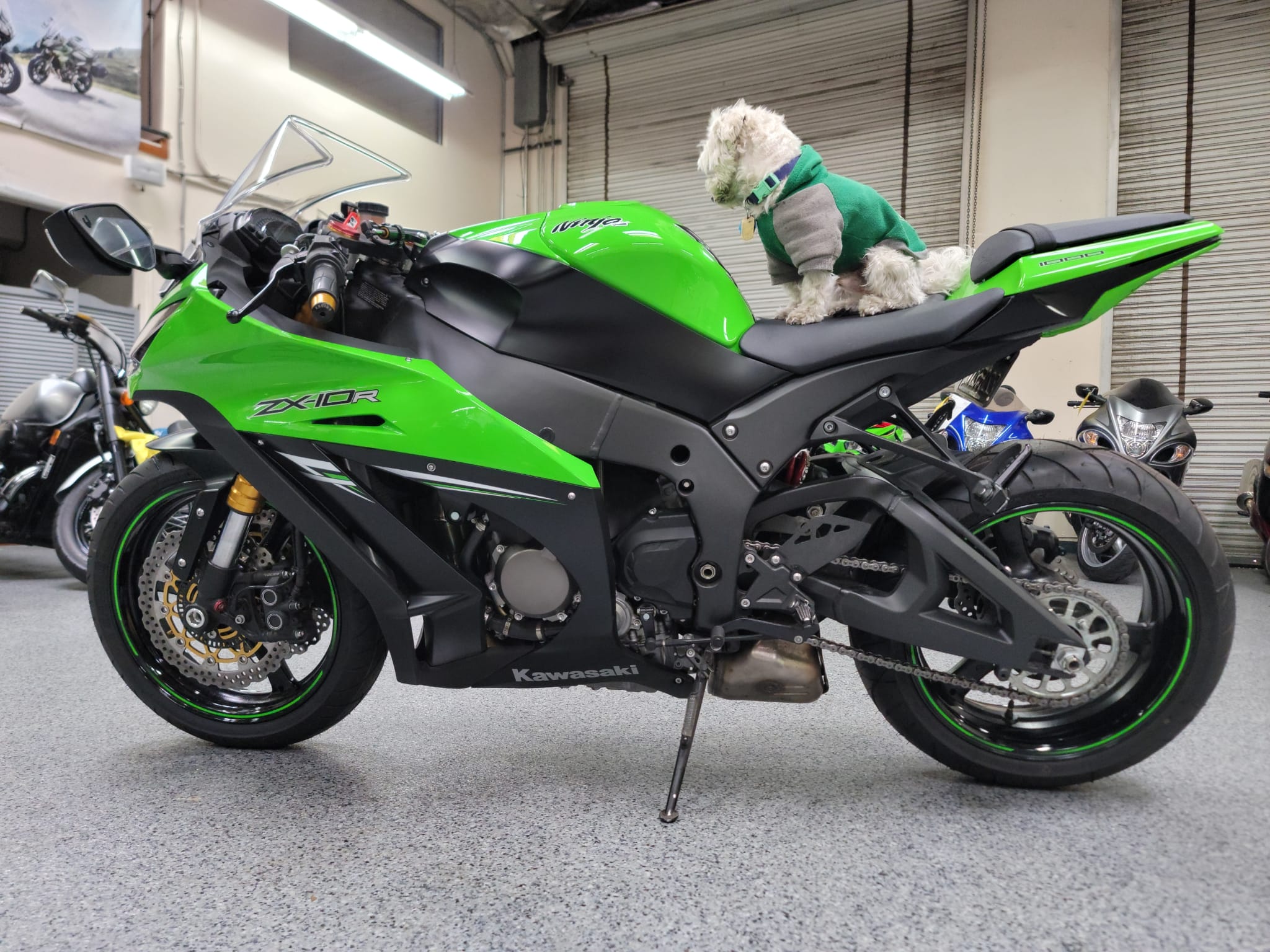 2014 Kawasaki Ninja ZX10R - 2500 Miles | AK Motors