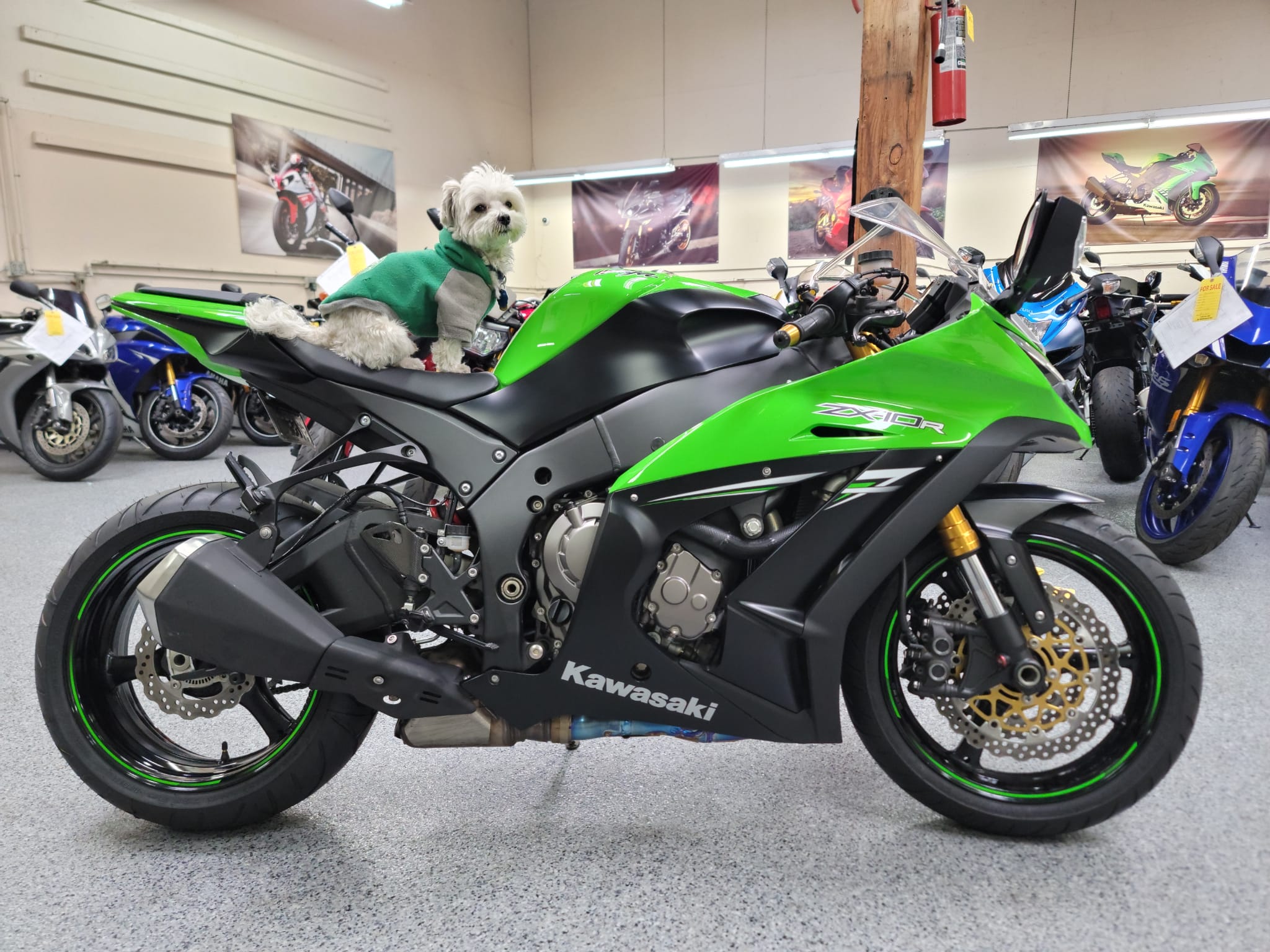 2014 Kawasaki Ninja ZX10R - 2500 Miles | AK Motors