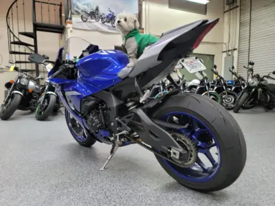 2020 Yamaha R1
