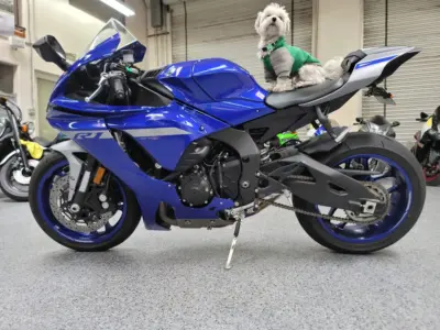 2020 Yamaha R1
