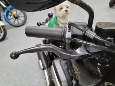 2018 Yamaha Bolt Raven