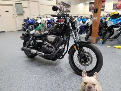2018 Yamaha Bolt Raven