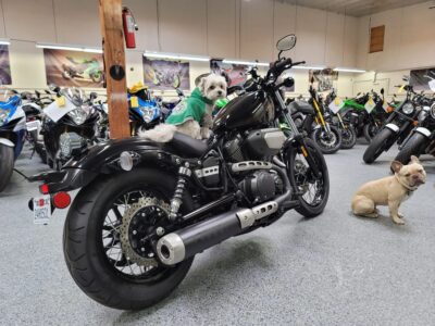 2018 Yamaha Bolt Raven