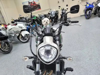 2015 Kawasaki Vulcan S ABS