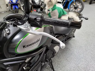 2015 Kawasaki Vulcan S ABS