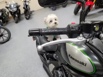2015 Kawasaki Vulcan S ABS