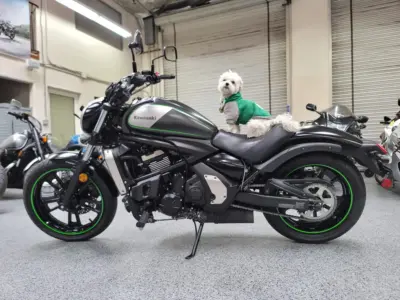 2015 Kawasaki Vulcan S ABS