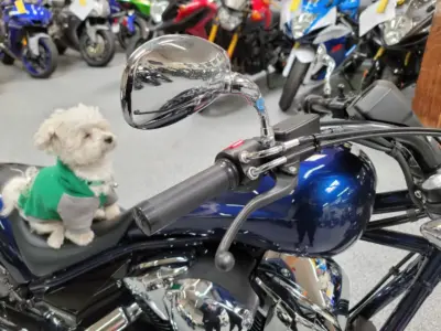 2019 HONDA VT1300CX FURY
