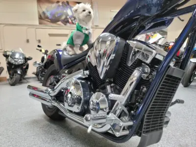 2019 HONDA VT1300CX FURY