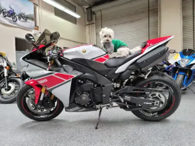 2012 Yamaha R1 Crossplane 50TH ANNIVERSARY