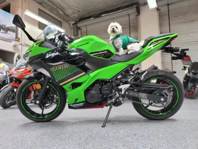 2020 Kawasaki Ninja 400 KRT EDITION