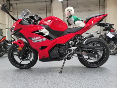 2021 Kawasaki Ninja 400