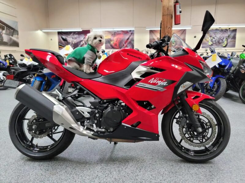 2021 Kawasaki Ninja 400