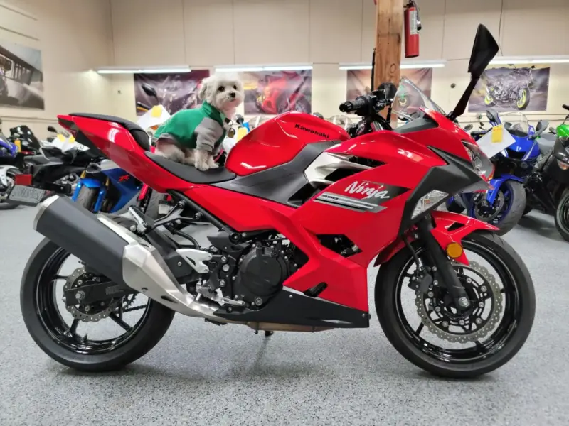 2021 Kawasaki Ninja 400