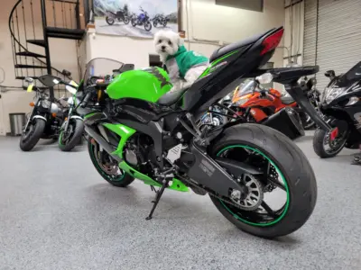 2013 Kawasaki Ninja 636 ZX6R