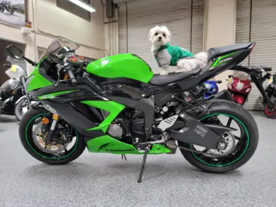 2013 Kawasaki Ninja 636 ZX6R