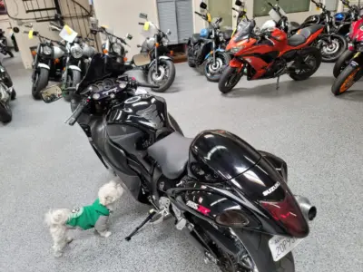 2009 Suzuki Hayabusa GSX1300R
