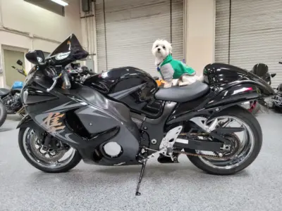2009 Suzuki Hayabusa GSX1300R