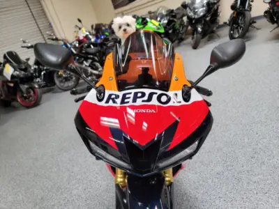 2013 Honda CBR600RR REPSOL