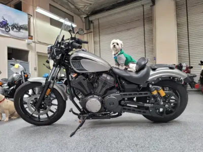 2017 Yamaha Bolt R SPEC