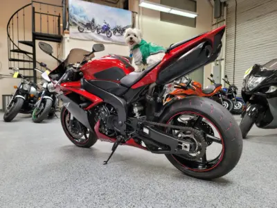 2007 Yamaha R1