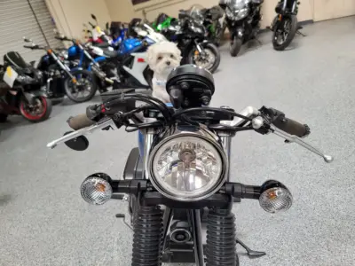 2015 Yamaha BOLT C SPEC