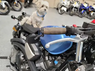 2015 Yamaha BOLT C SPEC