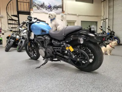2015 Yamaha BOLT C SPEC