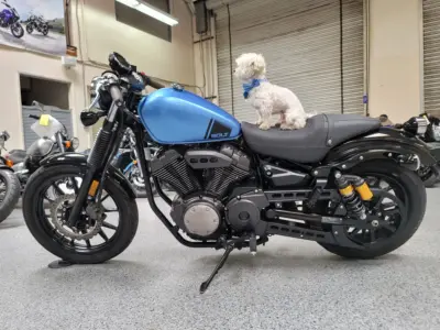 2015 Yamaha BOLT C SPEC