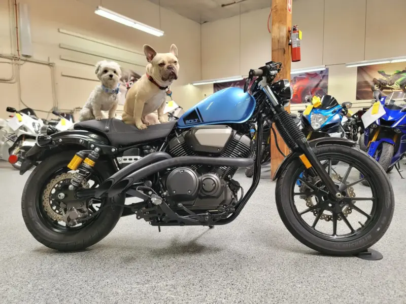 2015 Yamaha BOLT C SPEC