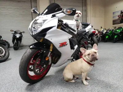 2017 Suzuki GSXR 750