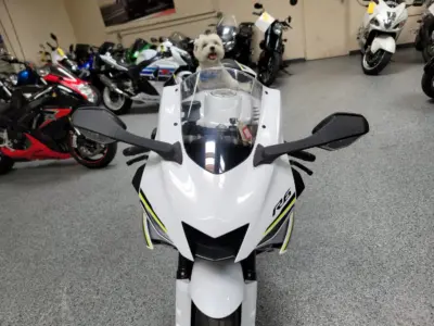 2017 Yamaha R6