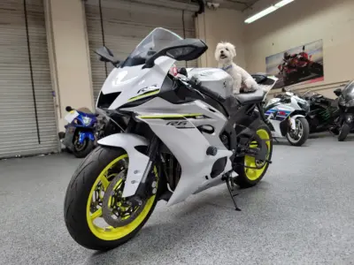 2017 Yamaha R6