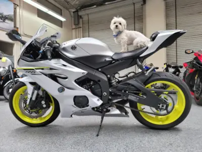 2017 Yamaha R6