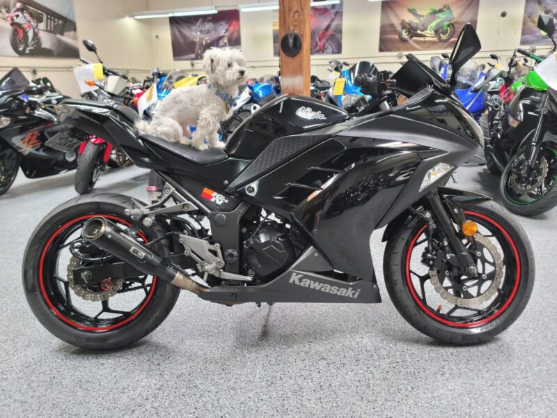 2014 Kawasaki Ninja 300