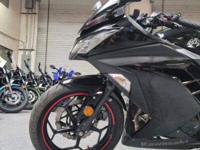 2014 Kawasaki Ninja 300