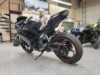 2014 Kawasaki Ninja 300