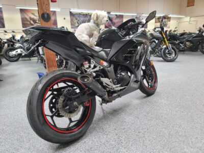2014 Kawasaki Ninja 300